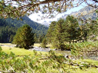 Magie et Beaut de la Nature au Pont d'Espagne !