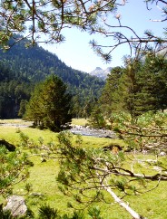 Magie et Beaut de la Nature au Pont d'Espagne !