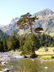 Magie et Beaut de la Nature au Pont d'Espagne !