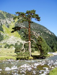 Magie et Beaut de la Nature au Pont d'Espagne !