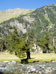 Magie et Beaut de la Nature au Pont d'Espagne !