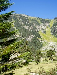 Magie et Beaut de la Nature au Pont d'Espagne !