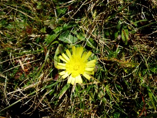 Magie et Beaut de la Nature au Pont d'Espagne !
