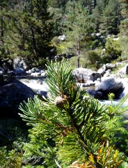 Magie et Beaut de la Nature au Pont d'Espagne !