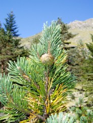 Magie et Beaut de la Nature au Pont d'Espagne !