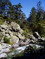 Magie et Beaut de la Nature au Pont d'Espagne !