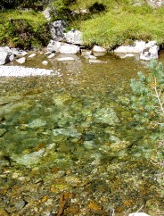 Magie et Beaut de la Nature au Pont d'Espagne !