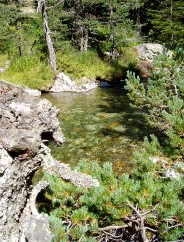 Magie et Beaut de la Nature au Pont d'Espagne !