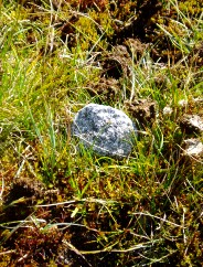Magie et Beaut de la Nature au Pont d'Espagne !