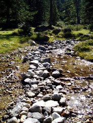 Magie et Beaut de la Nature au Pont d'Espagne !