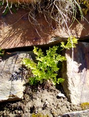 Magie et Beaut de la Nature