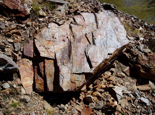 Magie et Beaut de la Nature