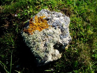 Cte de Trmazan en avril 