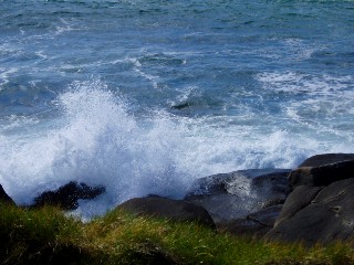 Cte de Trmazan en avril 