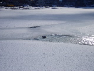 Le lac de la Valle de Joux